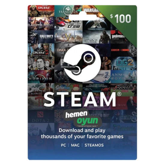 Steam Gift Card 100 USD Dolar Cüzdan Kodu